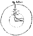 Vorschaubild der Version vom 13:35, 11. Aug. 2022