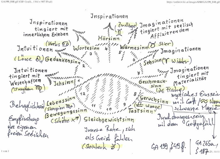 Erweiterte Darstellung der Zeichnung zu GA 199, S. 48