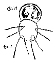 Vorschaubild der Version vom 14:03, 11. Aug. 2022