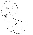 Vorschaubild der Version vom 13:39, 11. Aug. 2022