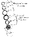 Vorschaubild der Version vom 13:34, 11. Aug. 2022