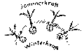 Vorschaubild der Version vom 12:34, 11. Aug. 2022
