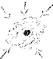 Vorschaubild der Version vom 12:22, 11. Aug. 2022