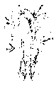 Vorschaubild der Version vom 14:52, 11. Aug. 2022