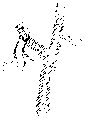 Vorschaubild der Version vom 13:32, 11. Aug. 2022