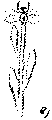Vorschaubild der Version vom 14:06, 11. Aug. 2022