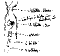 Vorschaubild der Version vom 12:50, 11. Aug. 2022