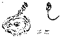 Vorschaubild der Version vom 16:15, 11. Aug. 2022