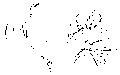 Vorschaubild der Version vom 14:26, 11. Aug. 2022