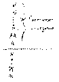 Vorschaubild der Version vom 13:04, 11. Aug. 2022