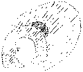 Vorschaubild der Version vom 14:55, 11. Aug. 2022