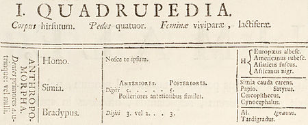 rassentheorie-anthrowiki