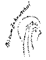 Vorschaubild der Version vom 16:25, 11. Aug. 2022