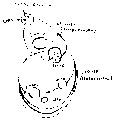 Vorschaubild der Version vom 16:23, 11. Aug. 2022
