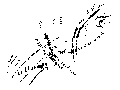 Vorschaubild der Version vom 12:55, 11. Aug. 2022