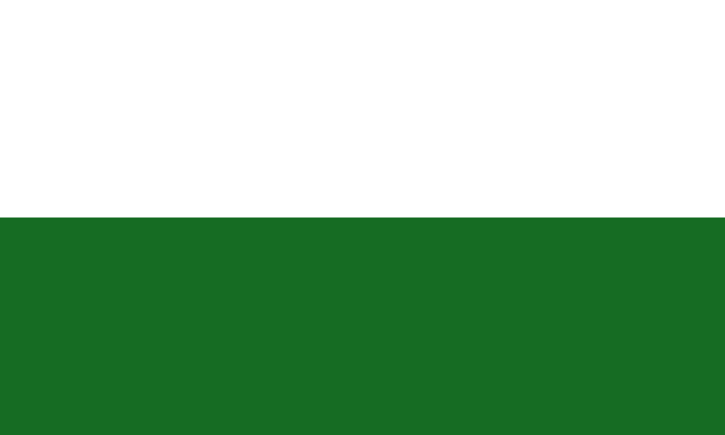 Datei:1000px-Flag of Saxony.svg.png