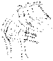 Vorschaubild der Version vom 13:59, 11. Aug. 2022