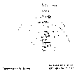 Vorschaubild der Version vom 13:16, 11. Aug. 2022