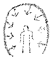 Vorschaubild der Version vom 14:58, 11. Aug. 2022
