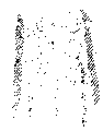 Vorschaubild der Version vom 12:11, 11. Aug. 2022