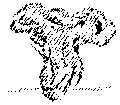 Vorschaubild der Version vom 13:06, 11. Aug. 2022
