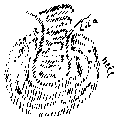 Vorschaubild der Version vom 15:12, 11. Aug. 2022