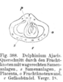 Vorschaubild der Version vom 17:49, 11. Aug. 2022