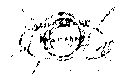 Vorschaubild der Version vom 16:07, 11. Aug. 2022