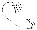 Vorschaubild der Version vom 16:14, 11. Aug. 2022