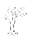 Vorschaubild der Version vom 17:45, 11. Aug. 2022