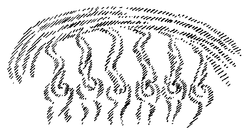 Datei:1600px-GA240 238.gif
