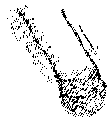 Vorschaubild der Version vom 17:27, 11. Aug. 2022