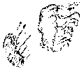 Vorschaubild der Version vom 15:50, 11. Aug. 2022