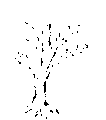 Vorschaubild der Version vom 17:45, 11. Aug. 2022