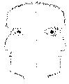 Vorschaubild der Version vom 13:29, 11. Aug. 2022