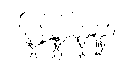 Vorschaubild der Version vom 17:35, 11. Aug. 2022