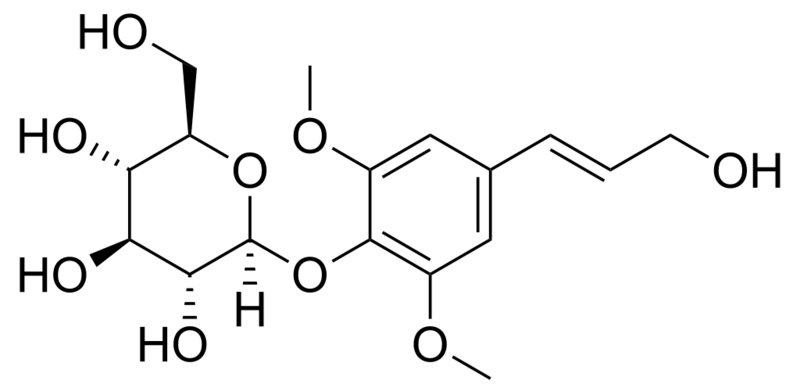 Datei:1024px-Syringin.svg.png