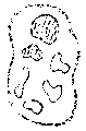 Vorschaubild der Version vom 15:19, 11. Aug. 2022