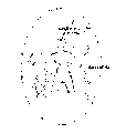 Vorschaubild der Version vom 12:06, 11. Aug. 2022