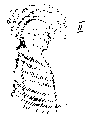 Vorschaubild der Version vom 14:51, 11. Aug. 2022