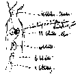 Vorschaubild der Version vom 12:50, 11. Aug. 2022