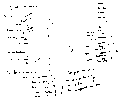 Vorschaubild der Version vom 12:53, 11. Aug. 2022