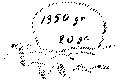 Vorschaubild der Version vom 13:28, 11. Aug. 2022