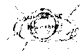 Vorschaubild der Version vom 16:07, 11. Aug. 2022