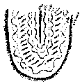 Vorschaubild der Version vom 17:09, 11. Aug. 2022