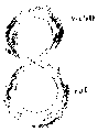 Vorschaubild der Version vom 16:35, 11. Aug. 2022