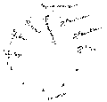 Vorschaubild der Version vom 13:46, 11. Aug. 2022