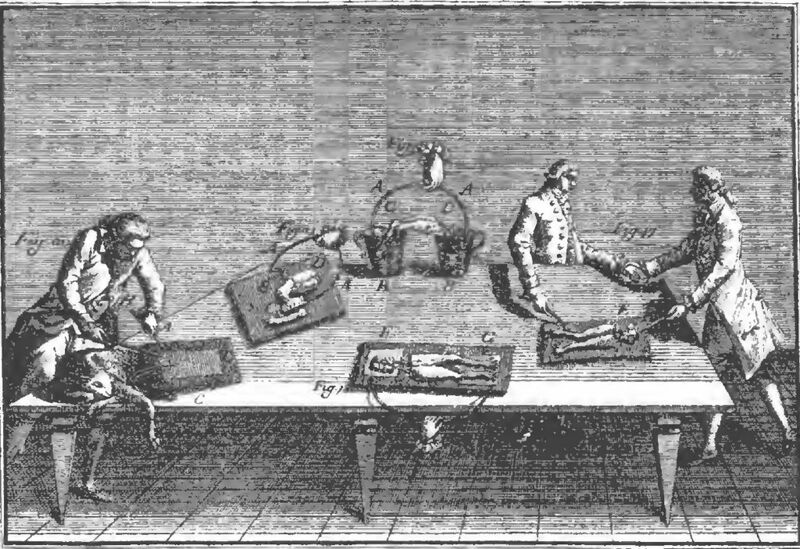 Datei:1024px-Luigi Galvani Tafel 4.jpg