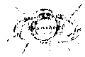Vorschaubild der Version vom 16:07, 11. Aug. 2022