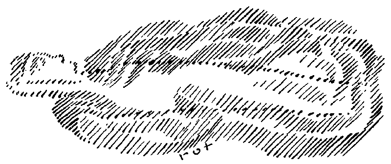 Datei:1600px-GA236 126.gif
